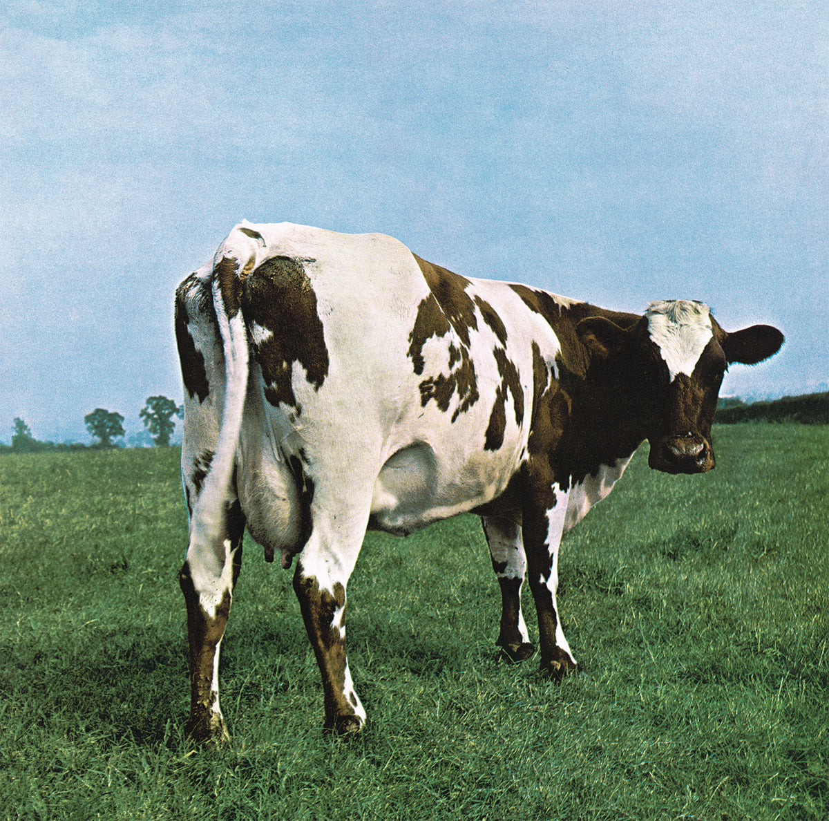 Pink Floyd - Reissues