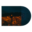 Benjamin Francis Leftwich - Some Things Break *Pre-Order