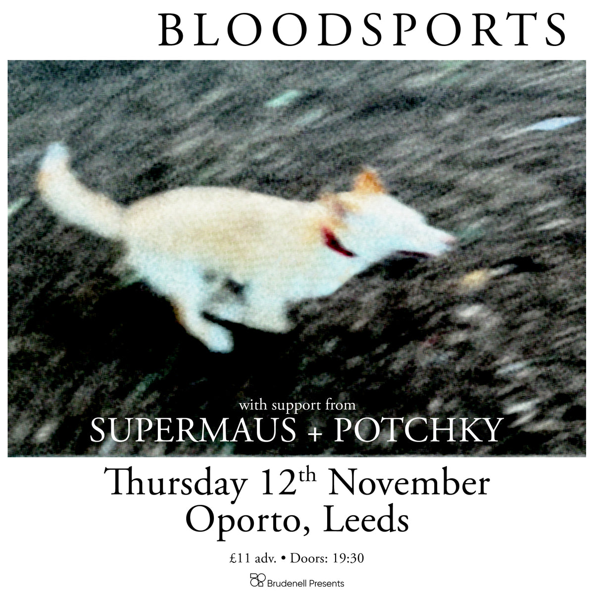 Bloodsports 12/11/26 @ Oporto
