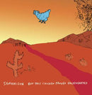 Sam Amidon - But This Chicken Proved Falsehearted