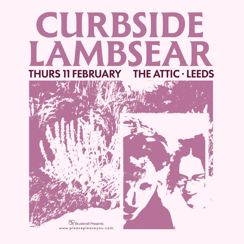Curbside Lambsear 11/02/27 @ The Attic
