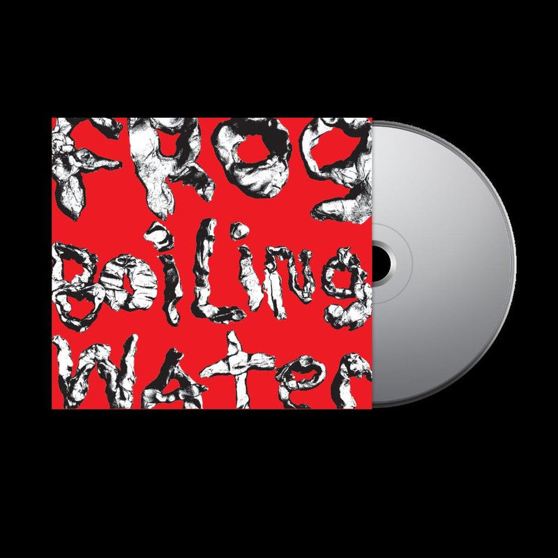 DIIV - Frog In Boiling Water *Pre-Order