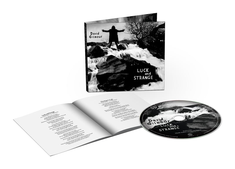 David Gilmour - Luck and Strange