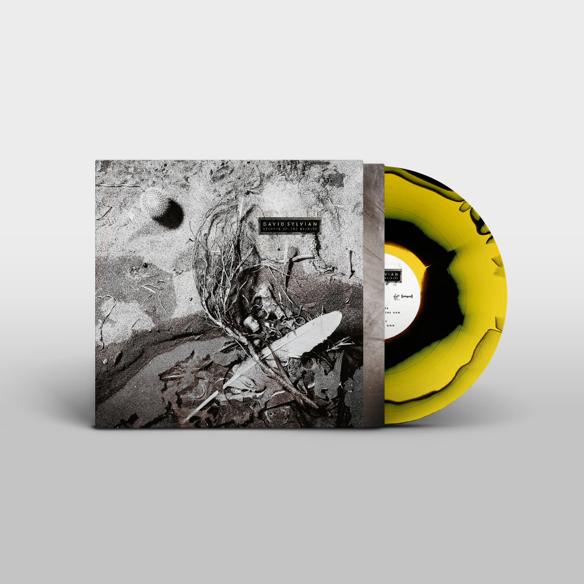 David Sylvian - Secrets of the Beehive