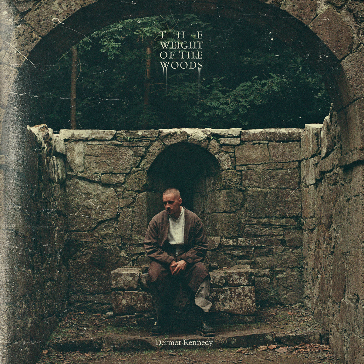 Dermot Kennedy - The Weight of the Woods