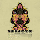 Three Trapped Tigers 20/11/24 @ Brudenell Social Club