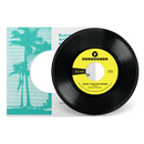 Stephen Colebrooke - Shake Your Chic Behind b/w Stay Away From Music