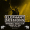 Elephant Sessions 24/05/24 @ Brudenell Social Club