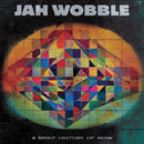 Jah Wobble - A Brief History Of Now