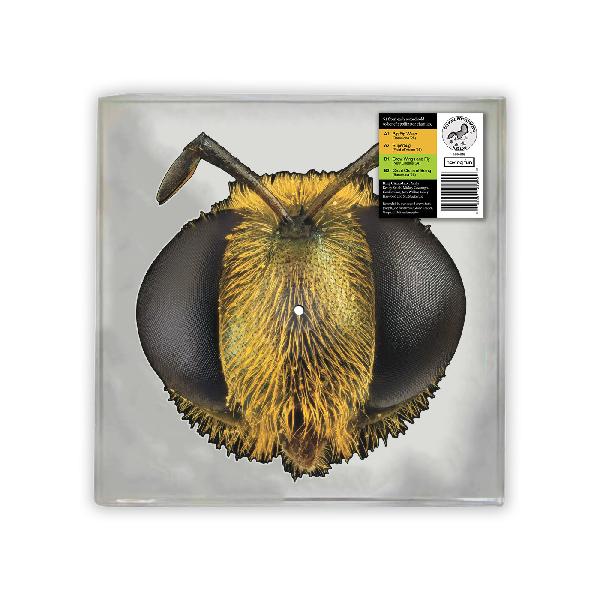 King Gizzard & The Lizard Wizard - Big Fig Wasp - Limited RSD 2026
