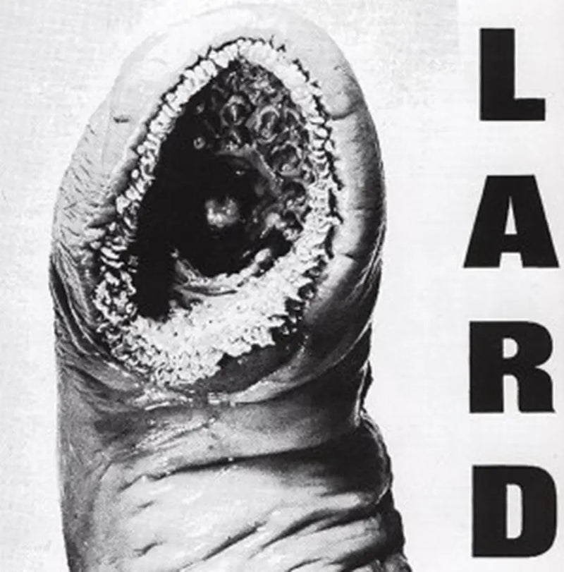 LARD - Power Of Lard