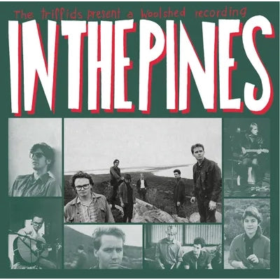 Triffids (The) - In The Pines