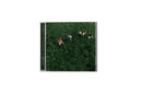 Parcels - LOVED *Pre-Order