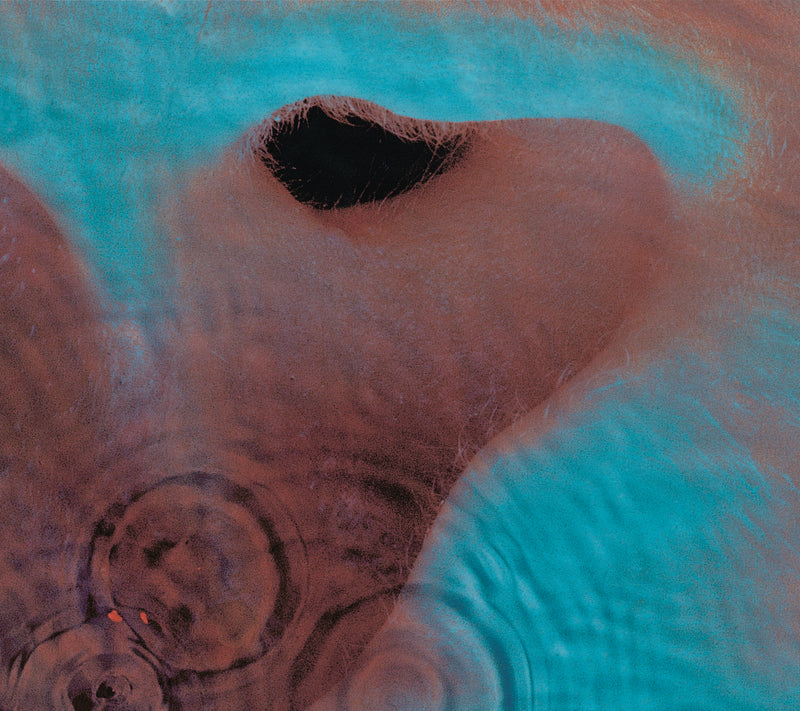 Pink Floyd - Reissues
