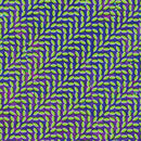 Animal Collective - Merriweather Post Pavilion (15th Anniversary)