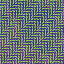 Animal Collective - Merriweather Post Pavilion (15th Anniversary)