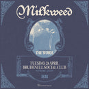 Milkweed 28/04/26 @ Brudenell Social Club