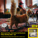 Mitski - Nothing's About to Happen to Me : Album + Ticket Bundle (Album Launch Show at New Century Hall Manchester) *Pre-order