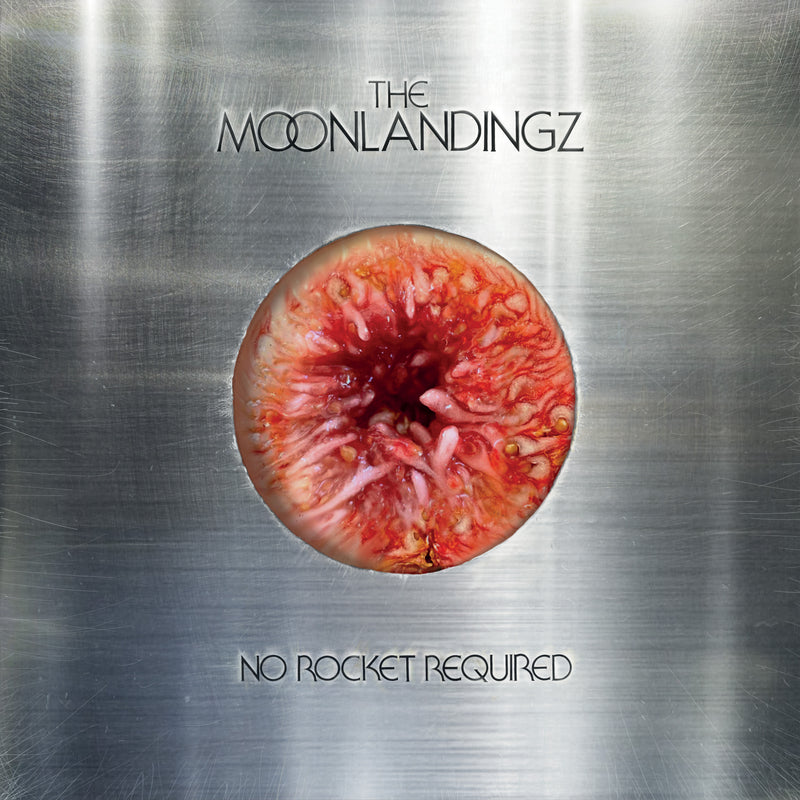 Moonlandingz (The) - No Rocket Required