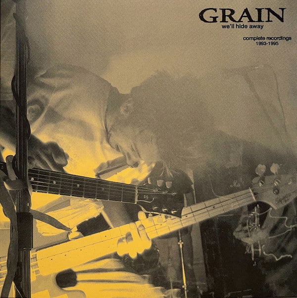 Grain ‎– We'll Hide Away