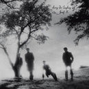 Josef K – Sorry For Laughing