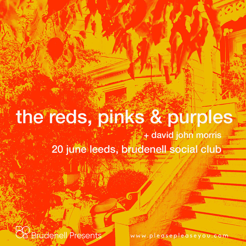 Reds Pinks & Purples (The) 20/06/24 @ Brudenell Social Club