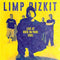LIMP BIZKIT - ROCK IN THE PARK 2001