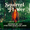 Squirrel Flower 20/07/24 @ Hyde Park Book Club