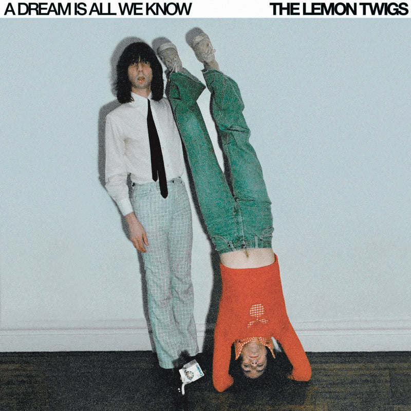 Lemon Twigs (The) - A Dream Is All We Know