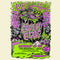 Lovely Eggs (The) 25/10/25 @ Brudenell Social Club