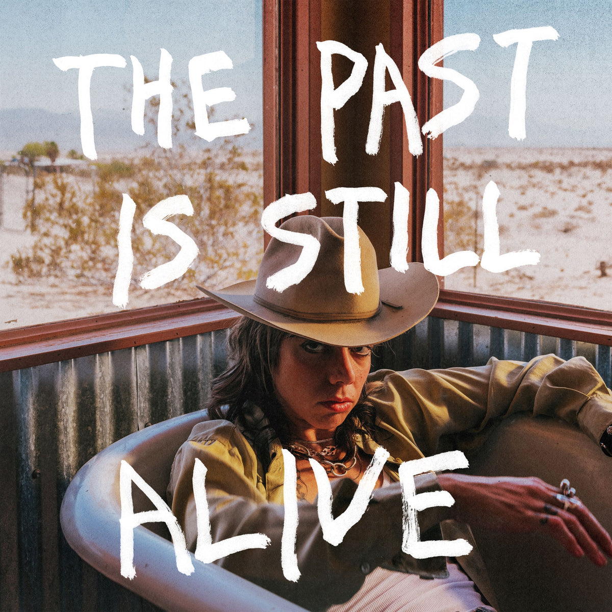 Hurray For The Riff Raff - The Past is Still Alive