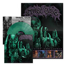 Tribal Gaze - Inveighing Brilliance
