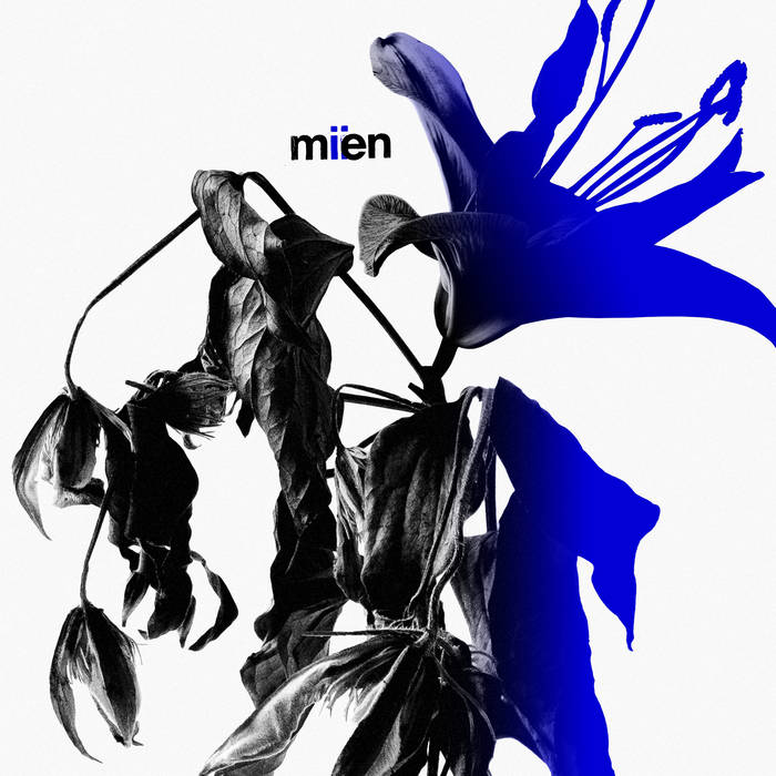 MIEN - MIIEN