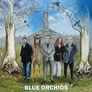 Blue Orchids - Maple Heights