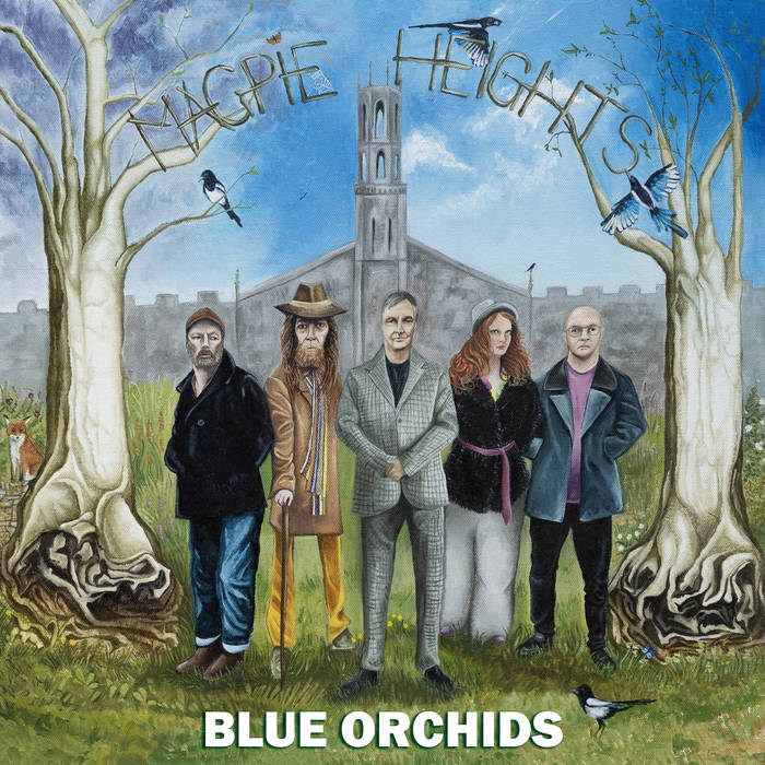 Blue Orchids - Maple Heights