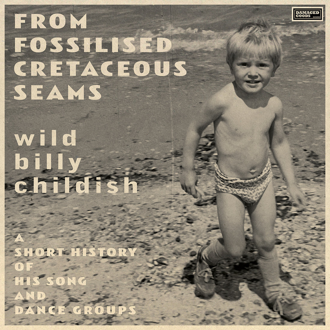 Wild Billy Childish - From Fossilised Cretaceous Seams: A Short History of His Song and Dance Group