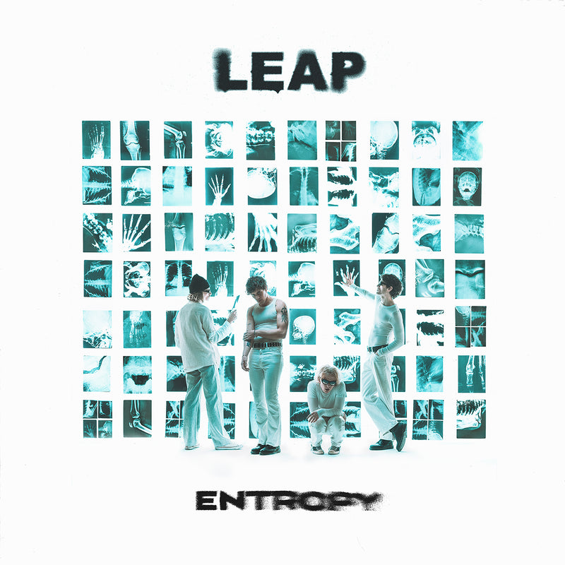LEAP - Entropy