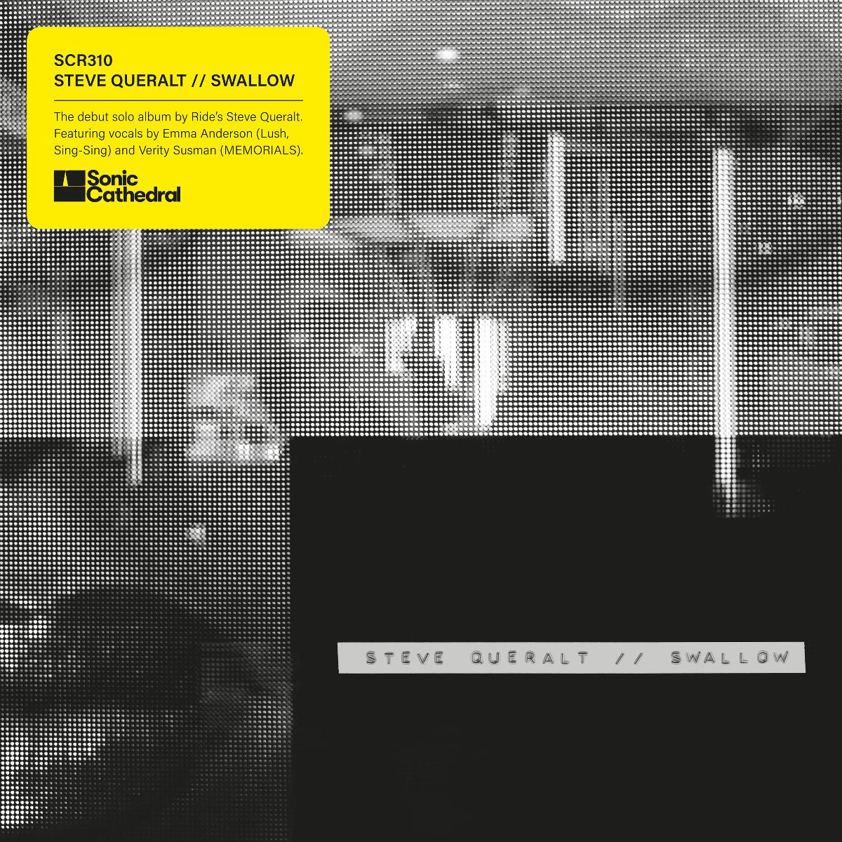 Steve Queralt - Swallow