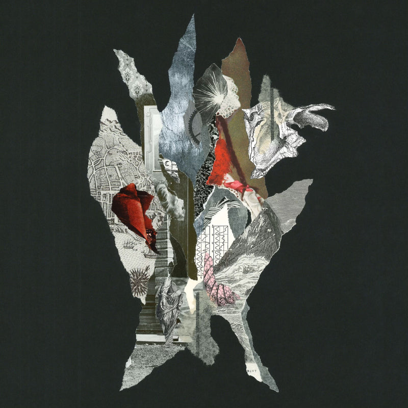 Alas De Liona - Gravity Of Gold