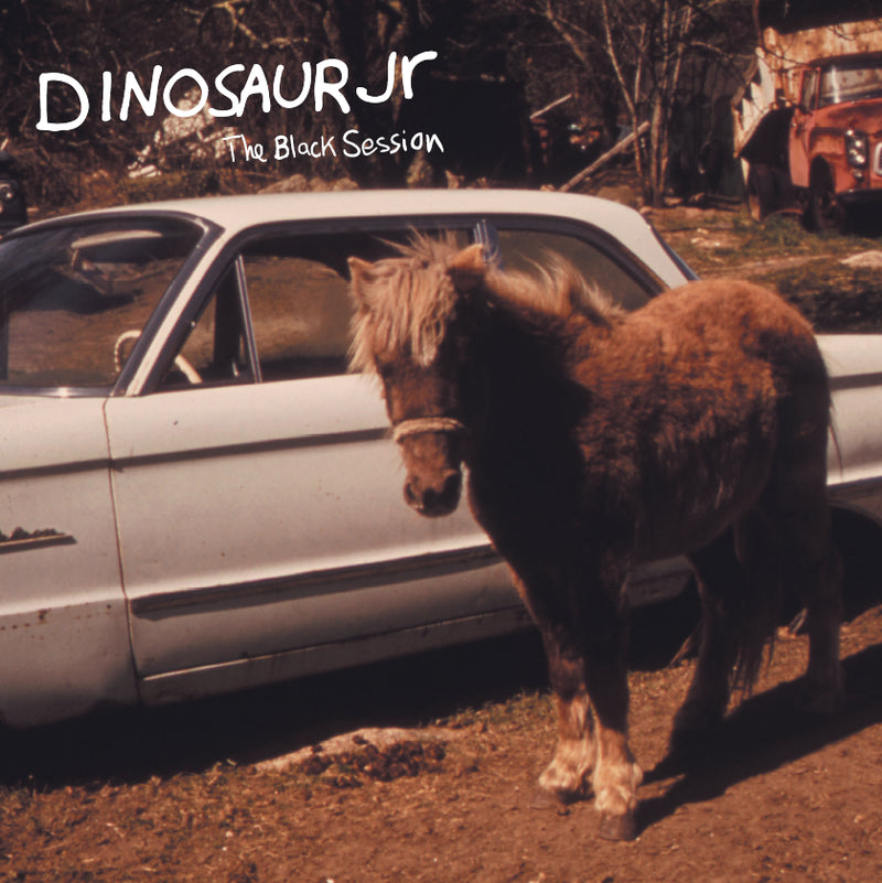 Dinosaur Jr - The Black Session