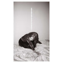 Julia Holter - Materia *Pre-Order