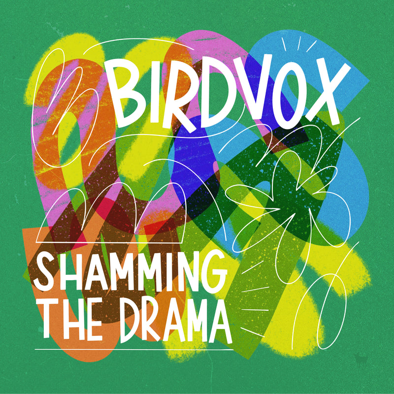 Birdvox - Shamming The Drama *Pre-Order