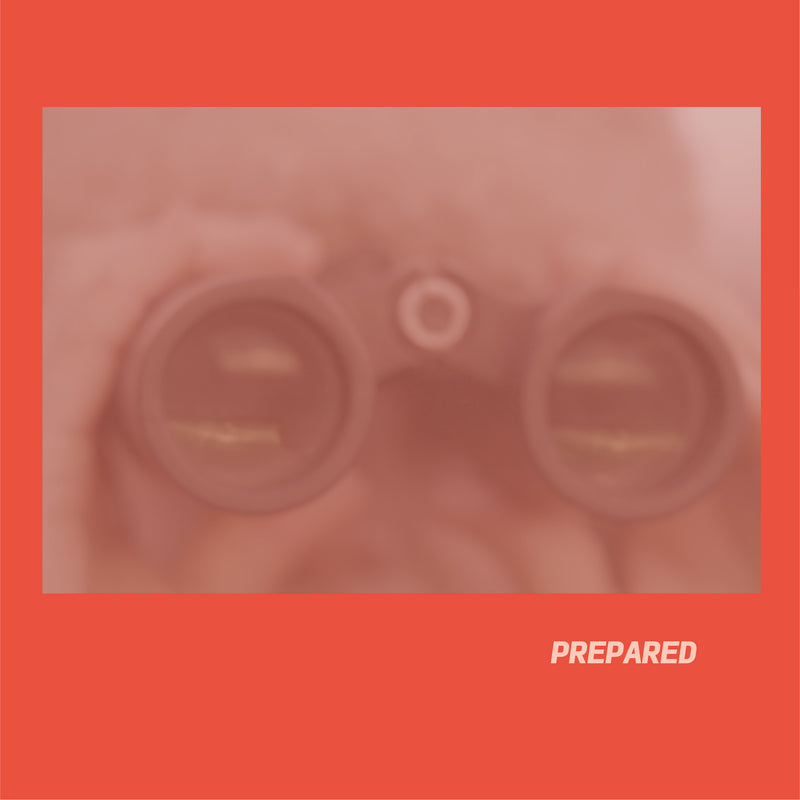 Laura J Martin - Prepared