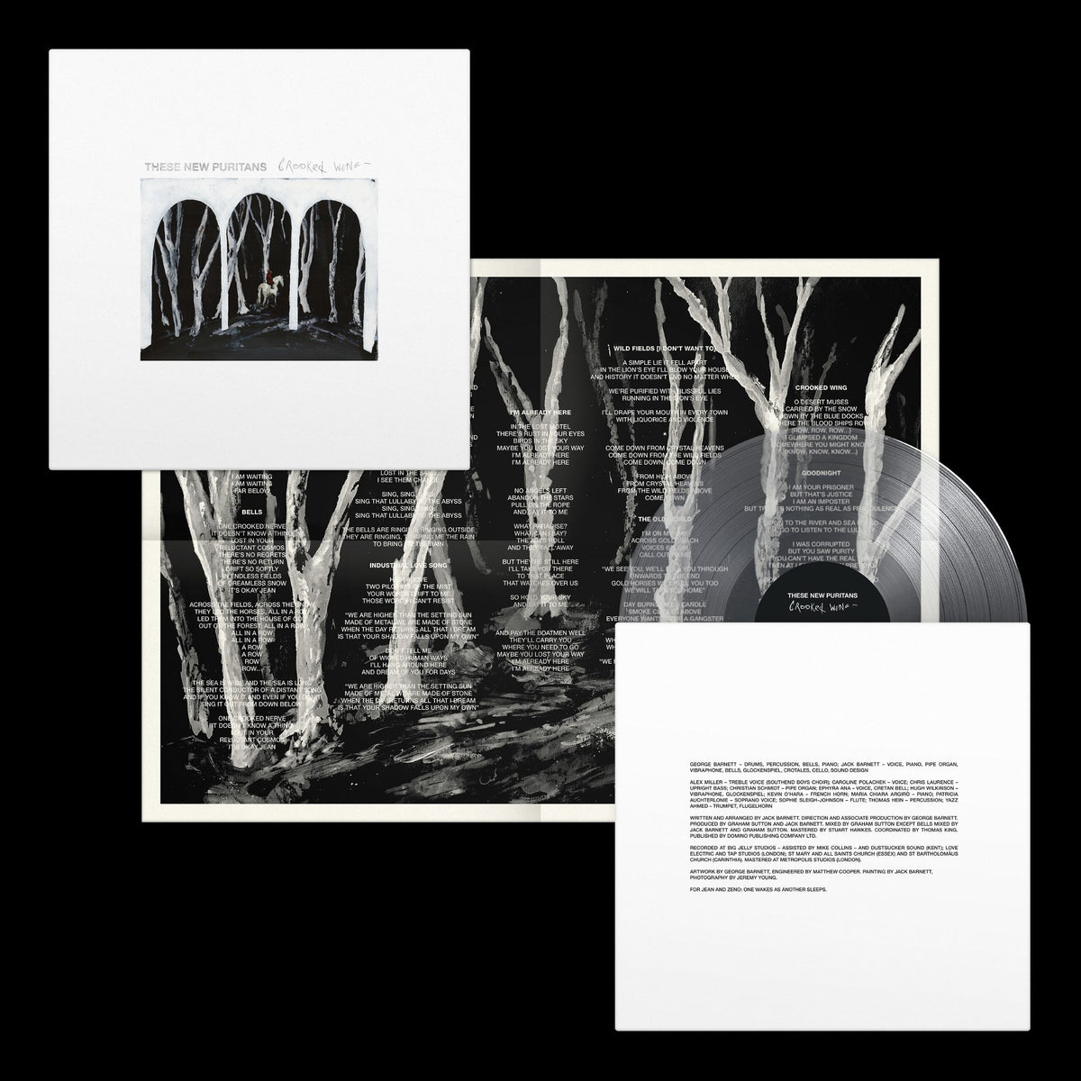 These New Puritans - Crooked Wing
