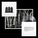 These New Puritans - Crooked Wing