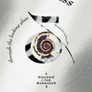 Siouxsie & The Banshees - Through The Looking Glass - NATIONAL ALBUM DAY 2024