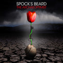 Spock's Beard - The Archaeoptimist *Pre-Order