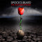 Spock's Beard - The Archaeoptimist *Pre-Order