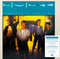 Level 42 - CD Reissues