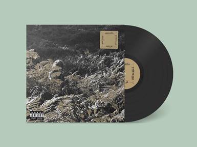 APOSTILLE - Prisoners Of Love And Hate